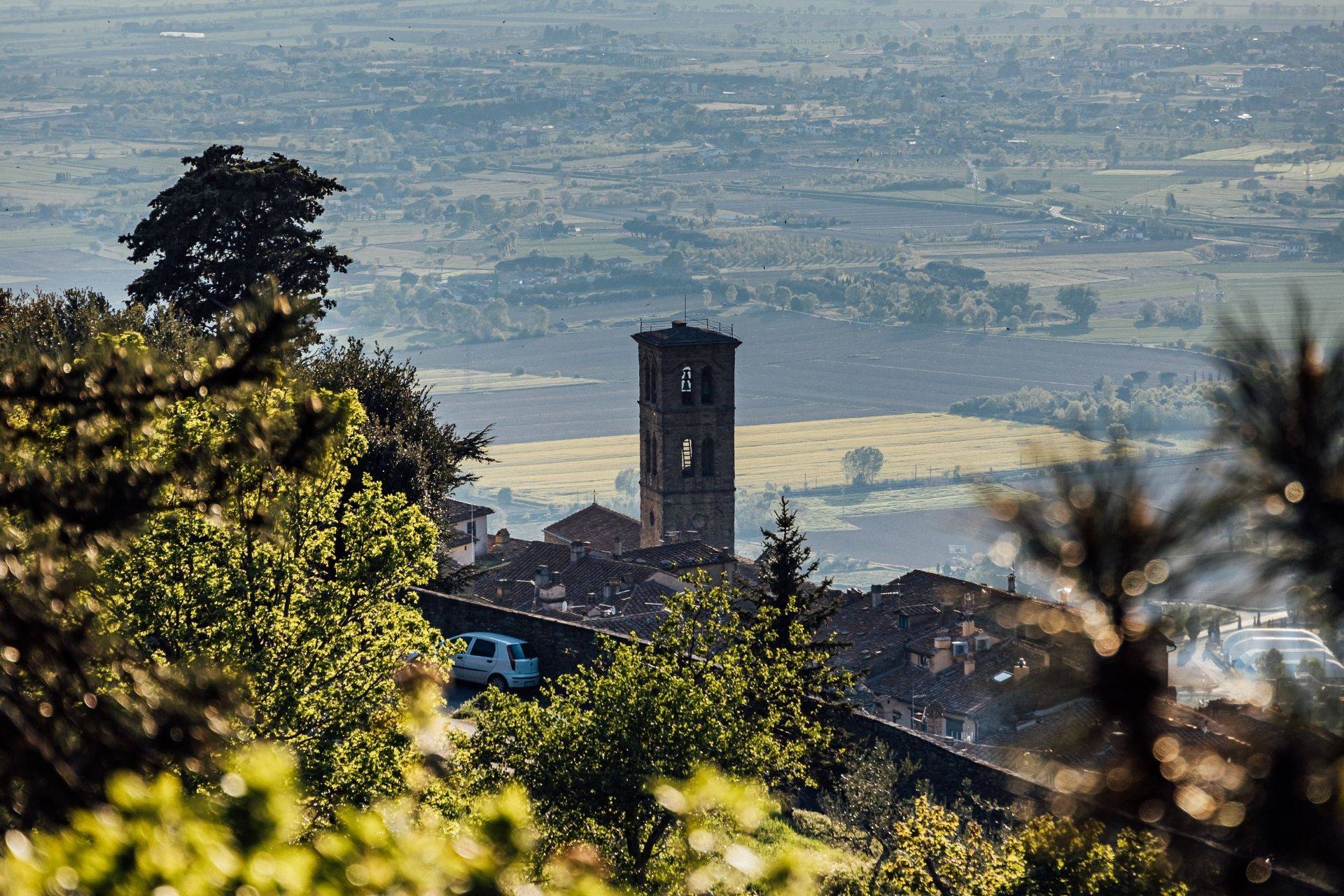 Cortona