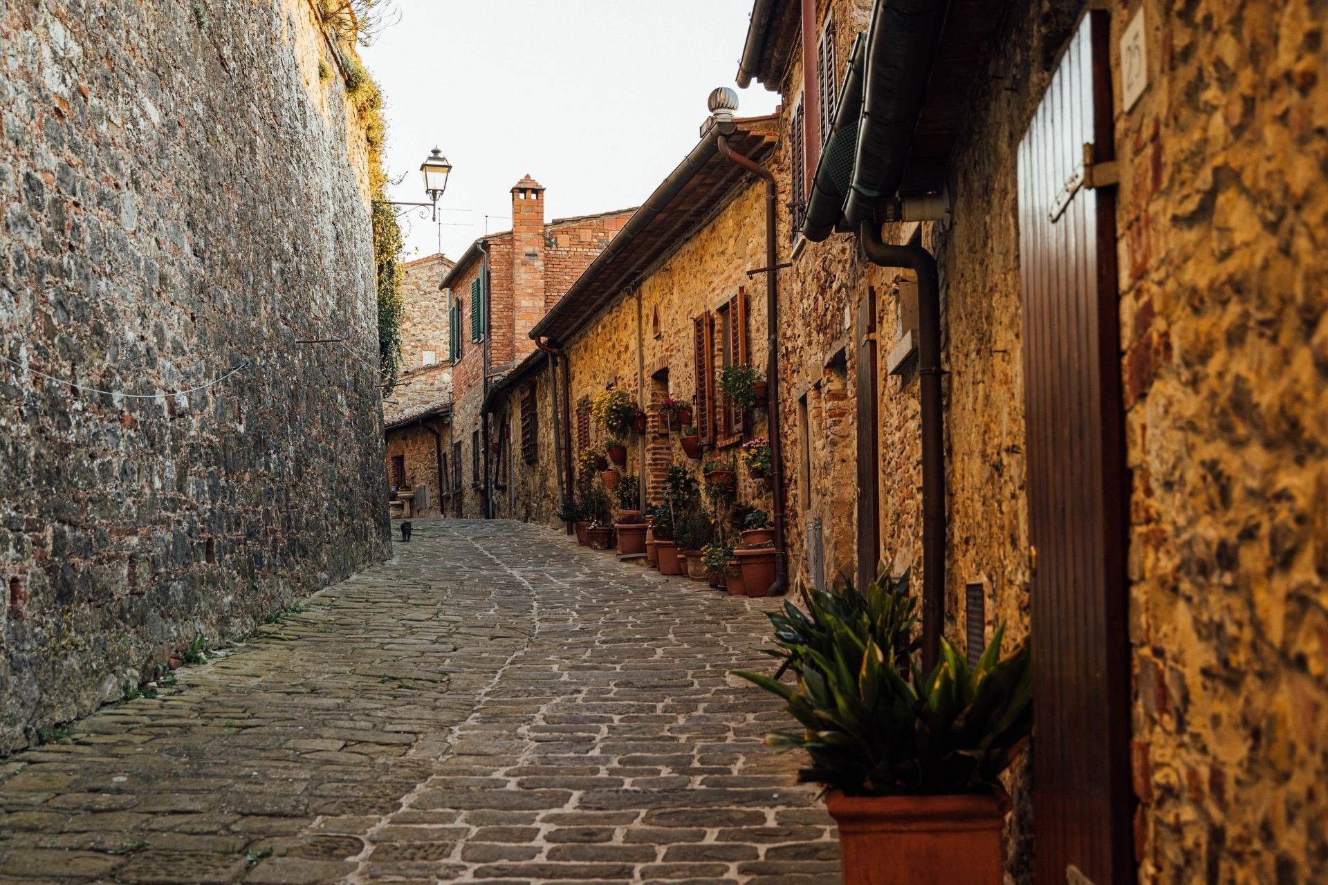 Lucignano