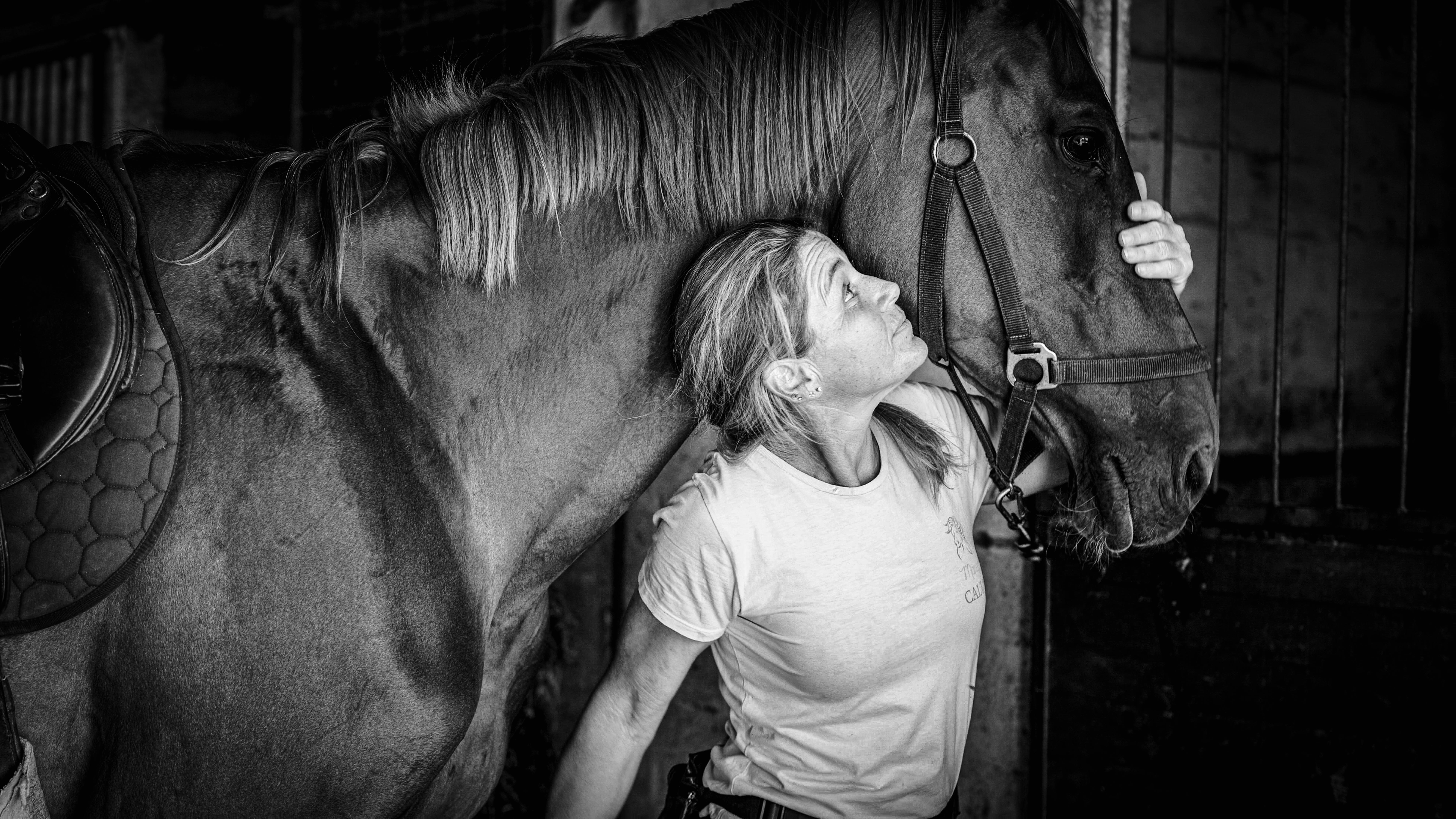 cavallo maneggio(25)
