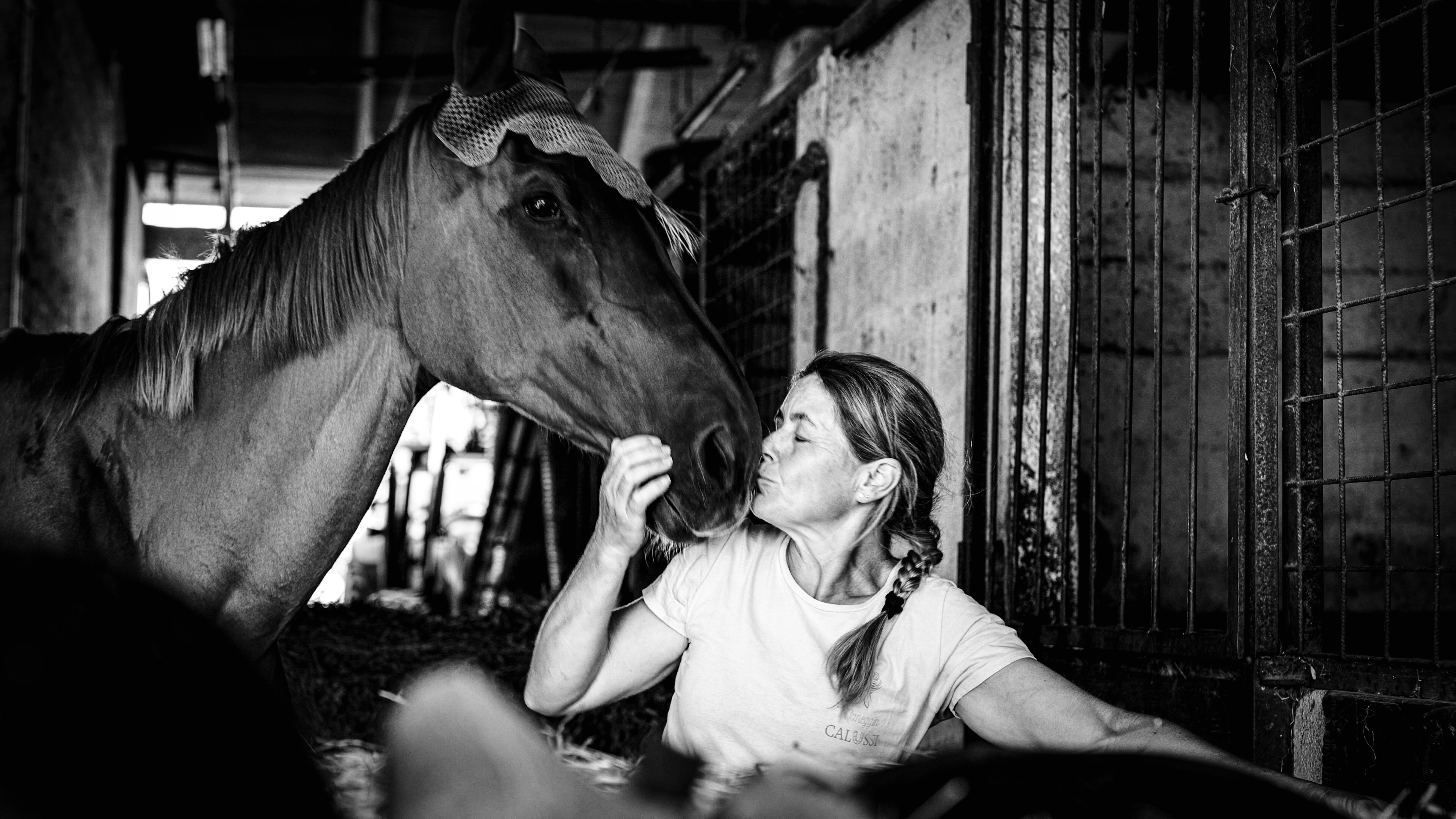 cavallo maneggio(24)