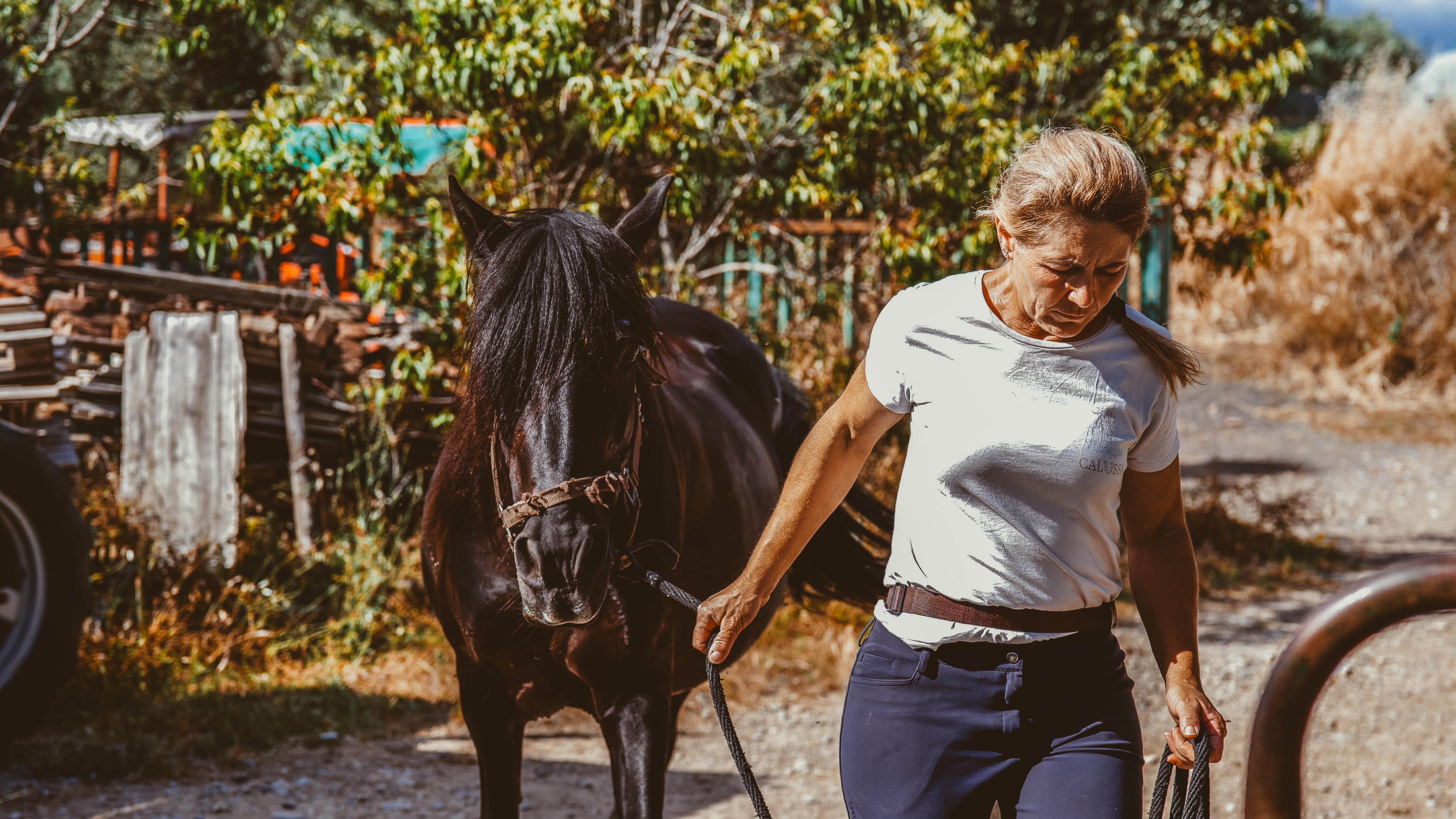 cavallo maneggio(28)