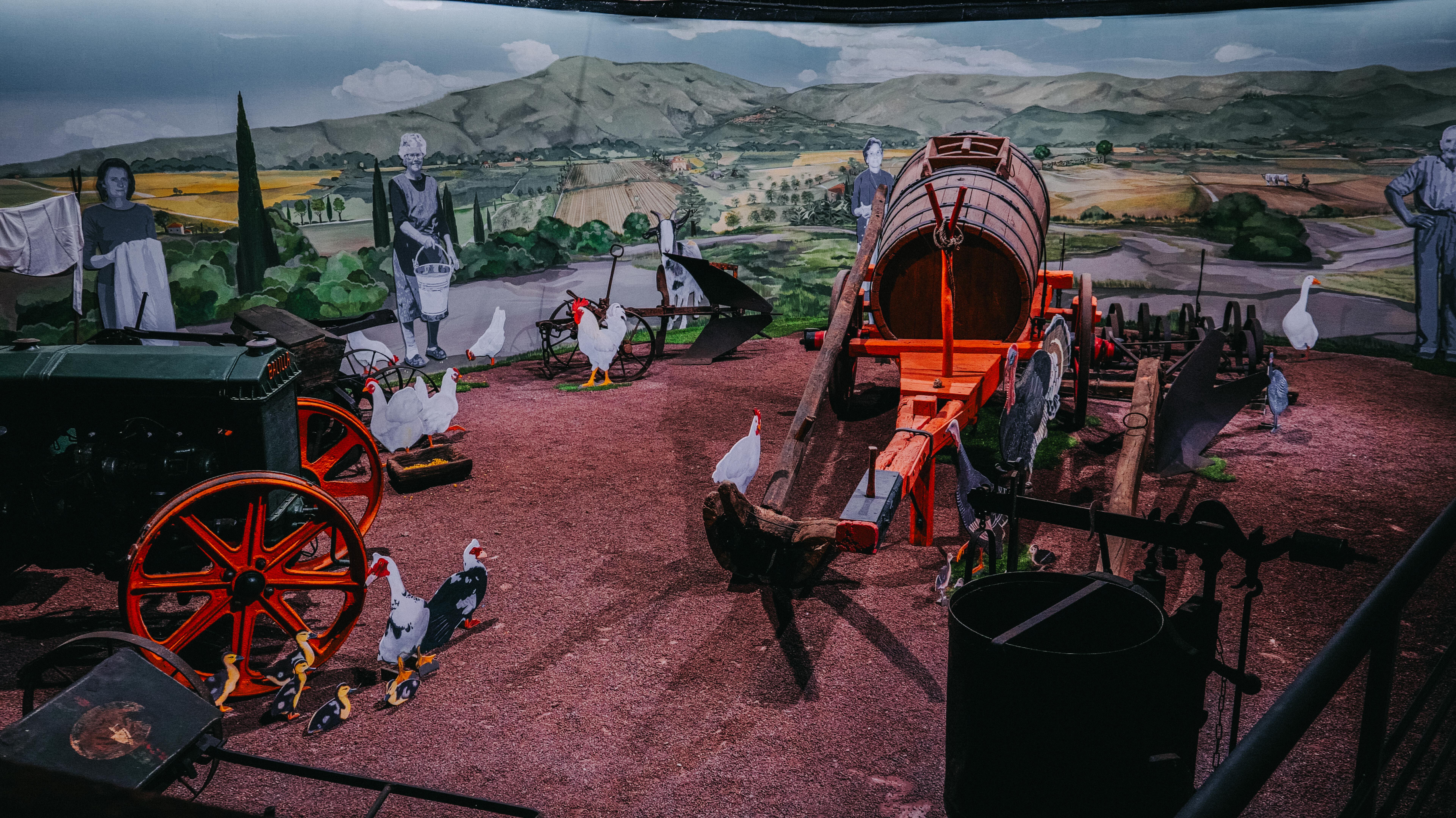 Museo ai borghi_Cortona(14)